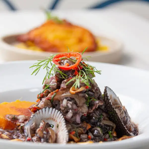 ceviche de concha